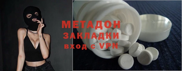 шишки Верея