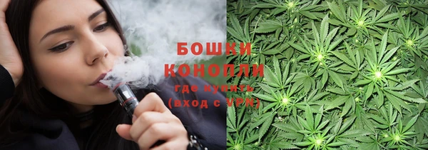 шишки Верея