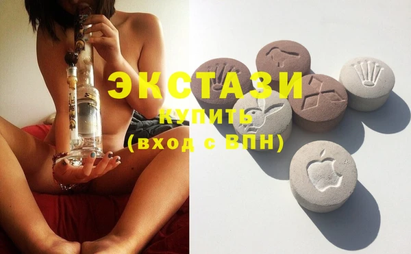 шишки Верея