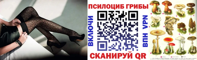 Купить  Конаково  Галлюциногенные грибы Cubensis 